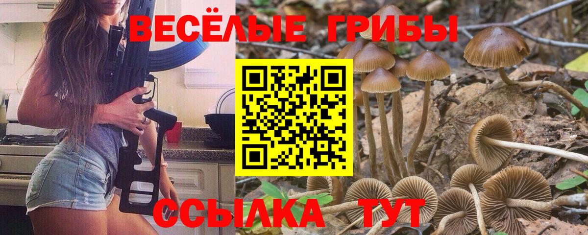 Галлюциногенные грибы Psilocybine cubensis  Вход с VPN  Лыткарино 